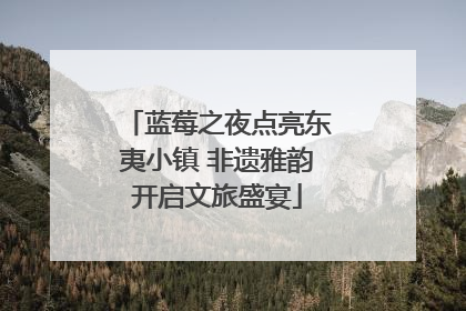 蓝莓之夜点亮东夷小镇 非遗雅韵开启文旅盛宴