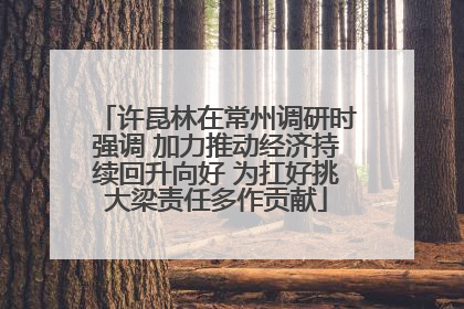 许昆林在常州调研时强调 加力推动经济持续回升向好 为扛好挑大梁责任多作贡献