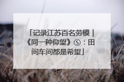 记录江苏百名劳模｜《同一种仰望》⑤：田间车间都是希望