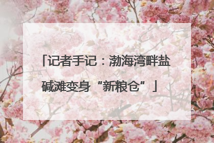 记者手记：渤海湾畔盐碱滩变身“新粮仓”