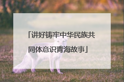 讲好铸牢中华民族共同体意识青海故事