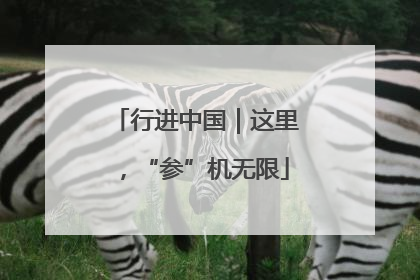 行进中国｜这里，“参”机无限