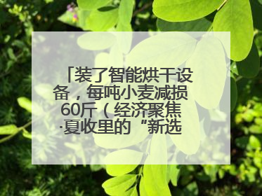 装了智能烘干设备，每吨小麦减损60斤（经济聚焦·夏收里的“新选手”）
