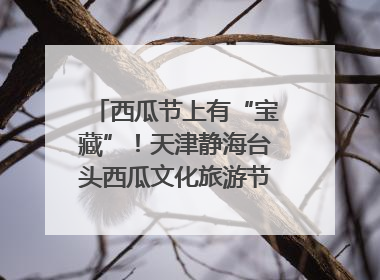 西瓜节上有“宝藏”！天津静海台头西瓜文化旅游节甜蜜开幕