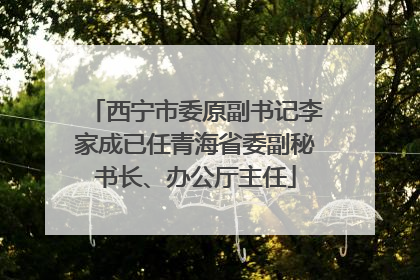西宁市委原副书记李家成已任青海省委副秘书长、办公厅主任
