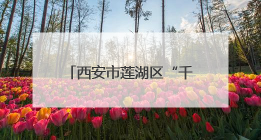 西安市莲湖区“千企高校行”活动走进西安理工大学