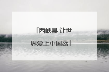 西峡县 让世界爱上中国菇
