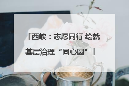西峡：志愿同行 绘就基层治理“同心圆”