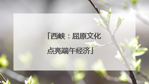 西峡：屈原文化点亮端午经济