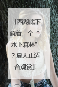 西湖底下藏着一个“水下森林”？夏天正适合观赏