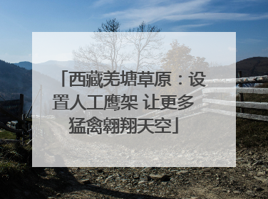 西藏羌塘草原：设置人工鹰架 让更多猛禽翱翔天空
