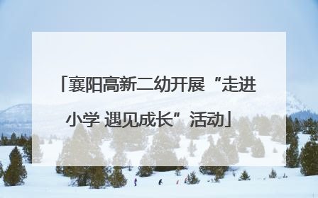 襄阳高新二幼开展“走进小学 遇见成长”活动