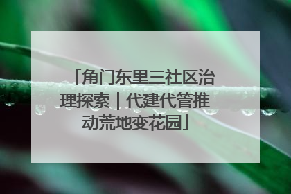 角门东里三社区治理探索｜代建代管推动荒地变花园