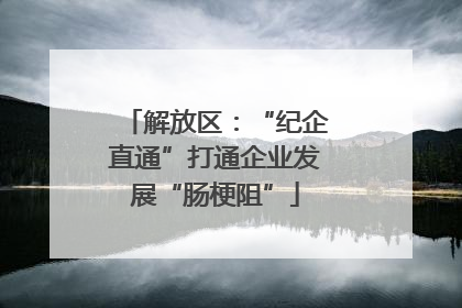 解放区：“纪企直通”打通企业发展“肠梗阻”