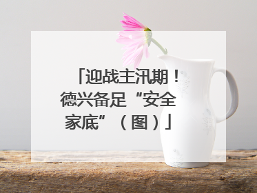 迎战主汛期！德兴备足“安全家底”（图）