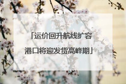 运价回升航线扩容 港口将迎发货高峰期