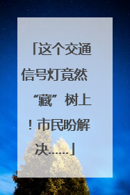 这个交通信号灯竟然“藏”树上！市民盼解决……