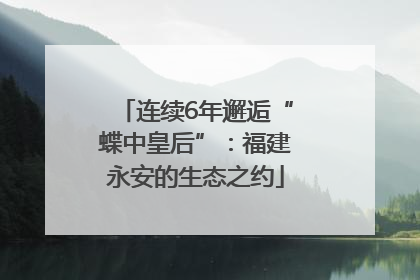 连续6年邂逅“蝶中皇后”：福建永安的生态之约