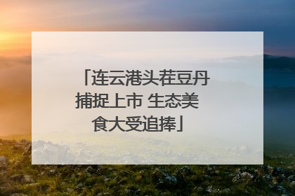 连云港头茬豆丹捕捉上市 生态美食大受追捧