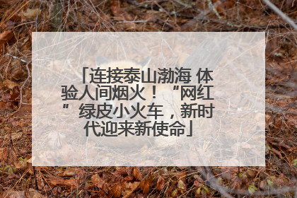 连接泰山渤海 体验人间烟火！“网红”绿皮小火车，新时代迎来新使命