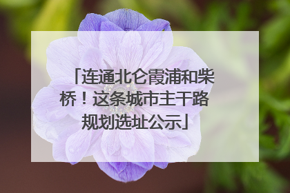 连通北仑霞浦和柴桥！这条城市主干路规划选址公示