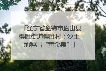 辽宁省盘锦市盘山县得胜街道得胜村：沙土地种出“黄金果”