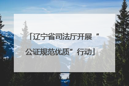 辽宁省司法厅开展“公证规范优质”行动