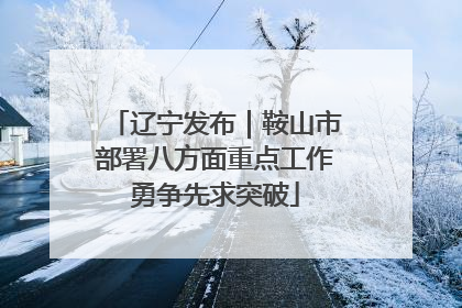 辽宁发布｜鞍山市部署八方面重点工作勇争先求突破
