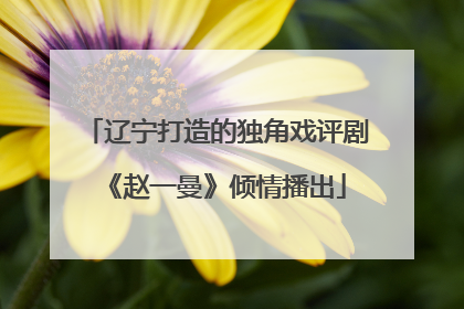 辽宁打造的独角戏评剧《赵一曼》倾情播出