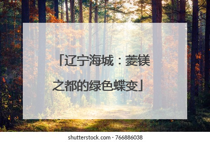 辽宁海城：菱镁之都的绿色蝶变