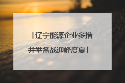 辽宁能源企业多措并举备战迎峰度夏