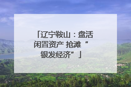 辽宁鞍山：盘活闲置资产 抢滩“银发经济”
