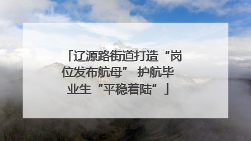 辽源路街道打造“岗位发布航母” 护航毕业生“平稳着陆”