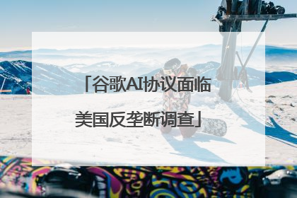 谷歌AI协议面临美国反垄断调查