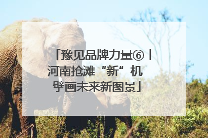 豫见品牌力量⑥丨河南抢滩“新”机 擘画未来新图景