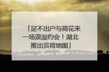 足不出户与荷花来一场浪漫约会！湖北推出赏荷地图