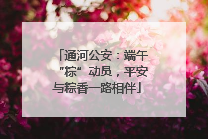 通河公安：端午“粽”动员，平安与粽香一路相伴