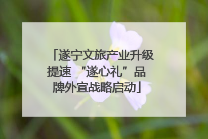 遂宁文旅产业升级提速 “遂心礼”品牌外宣战略启动