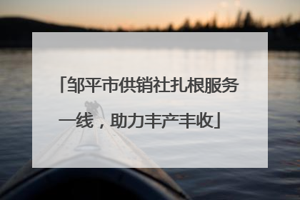 邹平市供销社扎根服务一线，助力丰产丰收