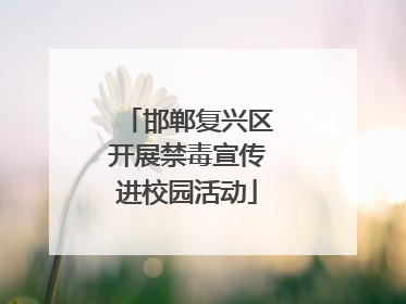 邯郸复兴区开展禁毒宣传进校园活动