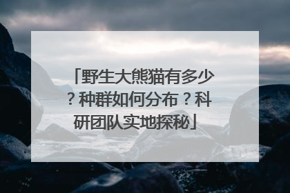 野生大熊猫有多少？种群如何分布？科研团队实地探秘