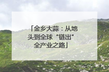 金乡大蒜：从地头到全球“链出”全产业之路