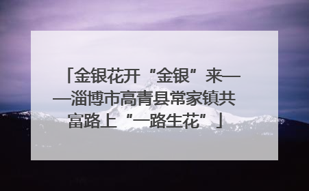 金银花开“金银”来——淄博市高青县常家镇共富路上“一路生花”