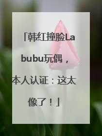 韩红撞脸Labubu玩偶，本人认证：这太像了！