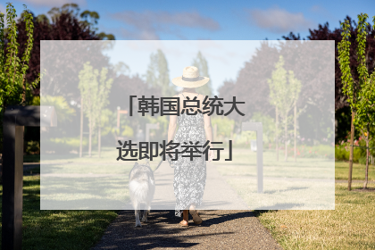 韩国总统大选即将举行