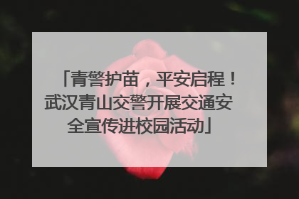 青警护苗，平安启程！武汉青山交警开展交通安全宣传进校园活动