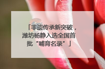 非遗传承新突破，潍坊杨静入选全国首批“哺育名录”