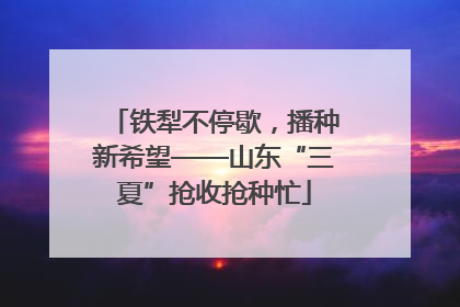铁犁不停歇，播种新希望——山东“三夏”抢收抢种忙