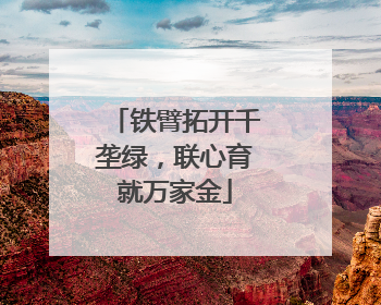 铁臂拓开千垄绿，联心育就万家金