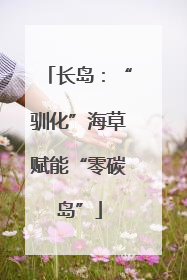 长岛：“驯化”海草赋能“零碳岛”